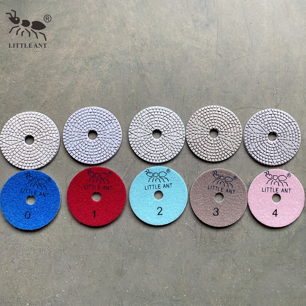 _0012_3WP4-ST 5STEP Little Ant